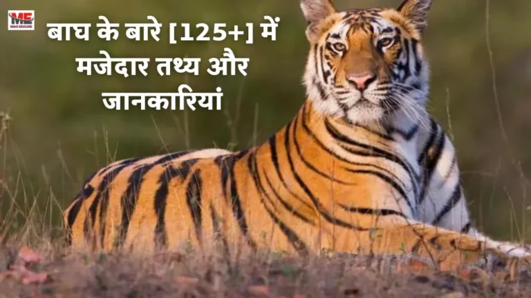 Amazing Tiger Facts and Information in Hindi