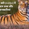 Amazing Tiger Facts and Information in Hindi