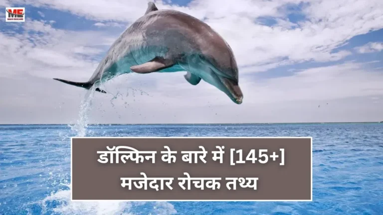 Amazing Facts About Dolphins in Hindi